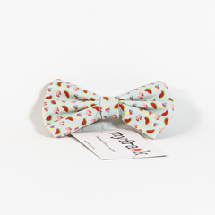 My Frank Bow Tie - Assorted