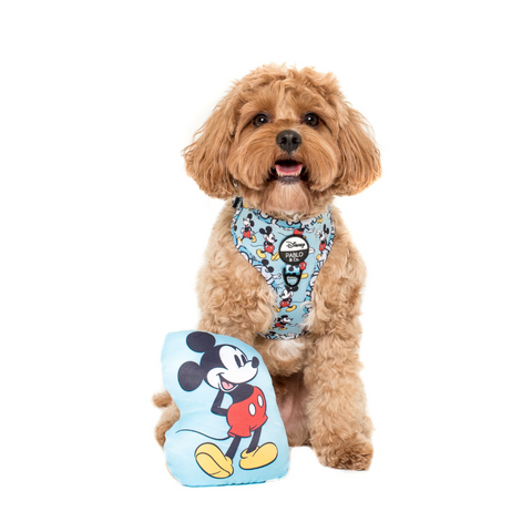 Pablo & Co x Disney Mickey Mouse Dog Toy