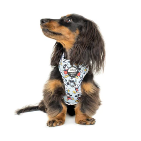 Pablo & Co Disney Harness - Mickey Mouse