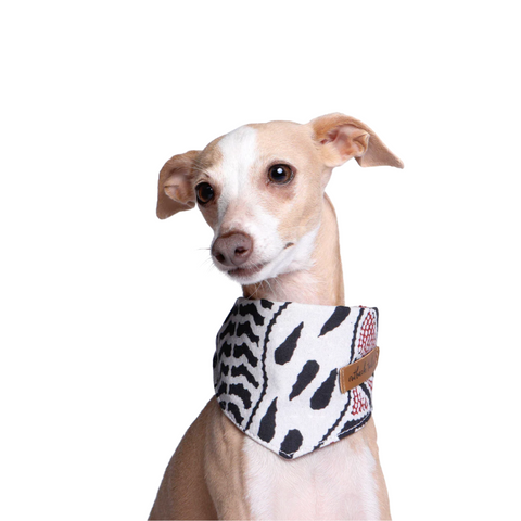 Outback Tails Dog bandana - Vaughan Springs