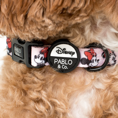 Pablo & Co Disney Collar