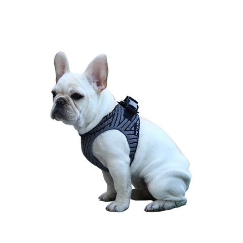 Petkit Air Fly Harness